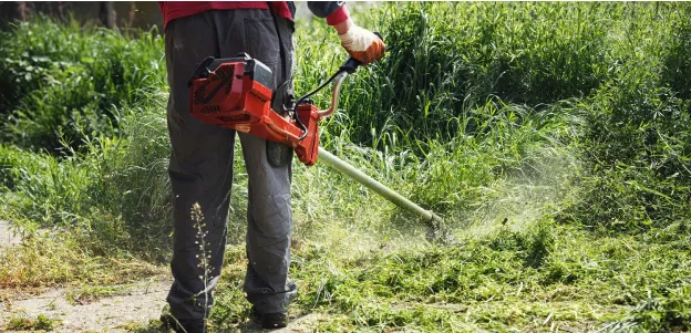 débroussaillage à Courpalay près de Coulommiers en Seine-et-Marne 77